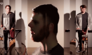 bleeding heart pigeons