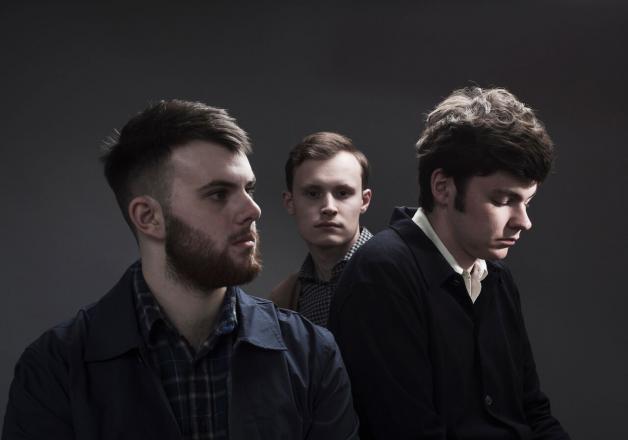 bleeding-heart-pigeons